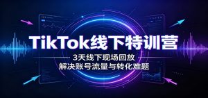 TikTok线下特训营：3天线下现场回放，解决账号流量与转化难题-网创资源站