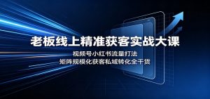 老板线上精准获客实战大课:视频号小红书流量打法,矩阵规模化获客私域转化全干货-网创资源站