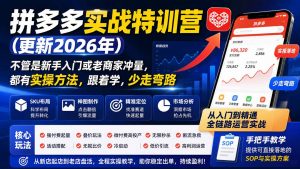 拼多多实战特训营(更新26年0822-网创资源站