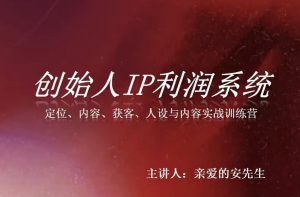 创始人IP利润系统8月训练营，定位、内容、获客、人设与内容实战训练营-网创资源站