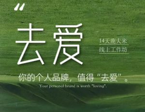 去爱14天鹿大米线上工作坊,你的个人品牌,值得“去爱”-网创资源站