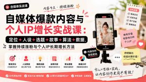 自媒体爆款内容与个人IP增长实战课:定位+人设+选题+故事+算法+数据,掌握持续涨粉与个人IP长期增长方法-网创资源站