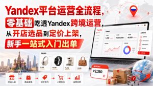 Yandex平台运营全流程，零基础吃透Yandex跨境运营，从开店选品到定价上架，新手一站式入门出单-网创资源站