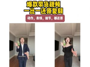 AI带货视频复刻，一比一还原加二创，动作，表情，细节，都还原，新手也能直接套用-网创资源站