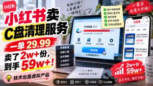 小红书卖C盘清理服务，一单29.99，卖了2w+份，技术也是虚拟产品-网创资源站