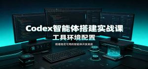 Codex智能体搭建实战课:工具环境配置,自定义技能开发,多业务自动化教学-网创资源站