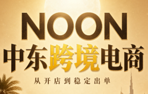 NOON中东跨境电商:从开店到稳定出单(更新2026)-网创资源站