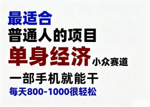 身经济小众赛道,一部手机就能干,每天搞个800-1000很轻松,最适合普通人的项目【揭秘】-网创资源站