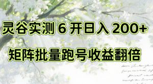 一台电脑就能做!灵谷实测6开日入200+,矩阵批量跑号收益翻倍【揭秘】-网创资源站