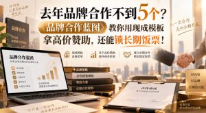 去年品牌合作不到5个?《品牌合作蓝图》教你用现成模板拿高价赞助,还能锁长期饭票!【原创双语字幕】-网创资源站