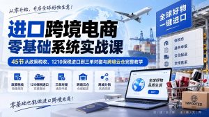 进口跨境电商零基础系统实战课:45节从政策税收、1210保税进口到三单对碰与跨境云仓完整教学-网创资源站