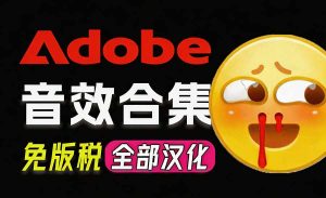 请称爆硬盘！Adobe 和 达芬奇 官方提供的高品质免版税音效库， 10000+ 免费商用音效合集，已离线打包-网创资源站