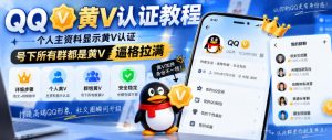 QQ黄V认证教程，个人主资料显示黄V认证，号下所有群都是黄V，逼格拉满-网创资源站