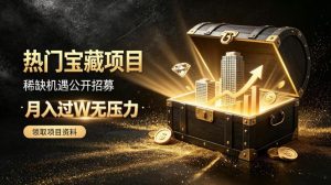 稀缺宝藏项目公开招募，低风险入局解锁月入过1W+机会【揭秘】-网创资源站