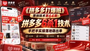 《拼多多打爆班》原创技术第64期:拼多多6杀1技术,手把手实操落地稳出单-网创资源站