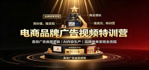 电商品牌广告视频特训:直效广告底层逻辑,AI内容生产,品牌接单变现全流程-网创资源站