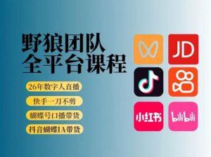 野狼团队2026新版全平台短视频带货教学,打开流量突破口,开始Ai带货(更新0913)-网创资源站