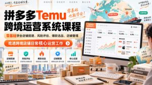 Temu跨境拼多多运营系统课程，零基础学会店铺搭建、风险评估、爆款选品、店铺管理，吃透跨境店铺日常核心运营工作-网创资源站