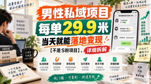 男性私域项目，每单29.9米，当天就能落地变现【不是S粉项目】，详细拆解，仅供参考-网创资源站