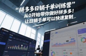 拼多多日销千单训练营,从0开始带你做好拼多多,让日销千单可以快速复制(更新26年9月)-网创资源站