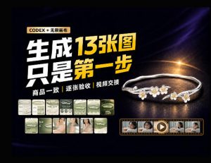 一张商品图，跑出13张电商图和15秒视频方案：这套Skill到底怎么工作？-网创资源站