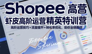 Shopee虾皮高阶运营精英特训营，高阶运营技巧+流量提升+转化率优化，助你业绩翻倍(更新26年9月)-网创资源站