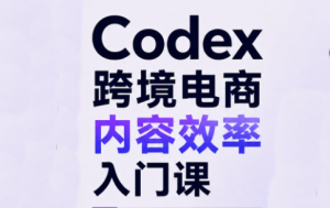 Codex跨境电商内容效率入门课-网创资源站