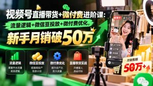 视频号直播带货+微付费进阶课-更新1010:流量逻辑+微信豆投放+微付费优化,新手月销破50万-网创资源站