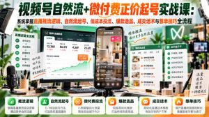 视频号自然流+微付费正价起号实战课：系统掌握直播推流逻辑、自然流起号、低成本投流、爆款选品、成交话术与憋单技巧全流程-网创资源站