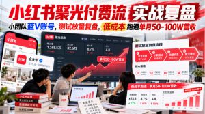 小红书聚光付费流实战复盘｜小团队蓝V账号，测试放量复盘，低成本跑通单月50‑100W营收【文档】-网创资源站