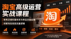淘宝高级运营实战课程,聚焦店铺权重体系与单品流量起爆,拆解淘宝底层流量逻辑-网创资源站