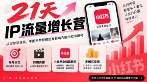 21天IP流量增长营,小红书全链路教学,账号定位剪辑实操,多模式变现系统课-网创资源站