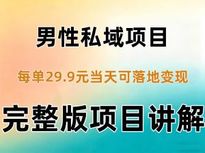 男性私域项目每单29.9，当天就能落地变现【不是S粉项目】详细拆解-网创资源站