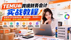 TEMU跨境财务会计实战教程：系统学习平台账单处理、期初建账、凭证录入、管理费用、成本分摊及报表编制-网创资源站