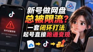 小白新号过限流：别发链先养号，12步SOP直接抄-网创资源站