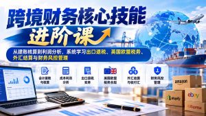 跨境财务核心技能进阶课：从建账核算到利润分析，系统学习出口退税、英国欧盟税务、外汇结算与财务风控管理-网创资源站
