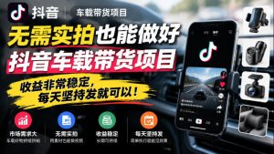 无需实拍也能做好抖音车载带货项目,收益非常稳定,每天坚持发就可以!-网创资源站