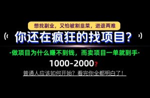 你还在疯狂的找项目？别傻了！卖项目才是真正的一本万利！怎么做，看完你全都明白！【揭秘】-网创资源站