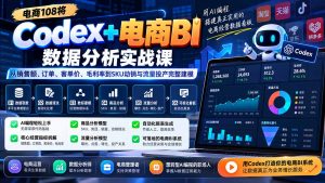Codex+电商BI数据分析实战课-更新1026:从销售额、订单、客单价、毛利率到SKU动销与流量投产完整建模-网创资源站