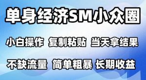 2026最新小众情感赛道，手机操作，十分钟见收益，小白也能当天上手，全程复制粘贴模板即可，单日1k＋可批量放大【揭秘】-网创资源站